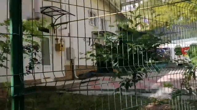 Орхей. Nordic (Север2). Молдова. смотреть онлайн