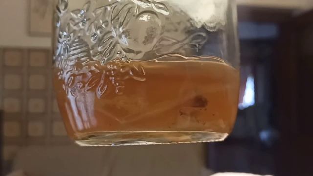 Знакомьтесь-ГОША?. Он же Чайный гриб и Комбуча?. смотреть онлайн