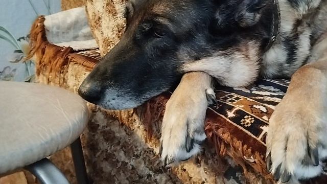 Ждём прием врача!!!!!