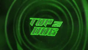 TOPDOG 21