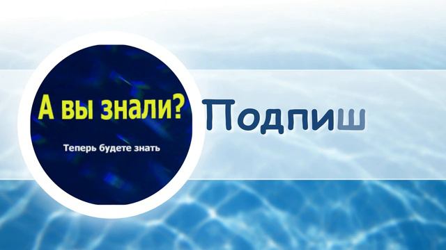 А вы знали что воинская честь