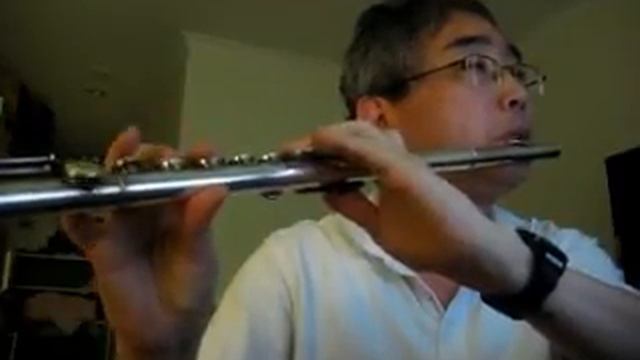 Johann Strauss - Annen Polka (Waltzes und Polkas) op.117 [2nd Part] - Pearl Nickel Flute смотреть онлайн