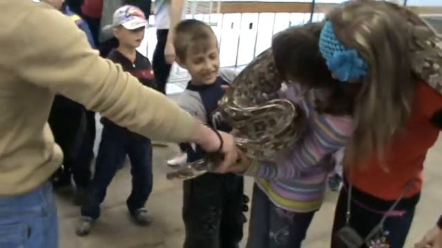 Архангельск, семья Никитиных, июнь 2013, экзотические животные, 3 ч. смотреть онлайн