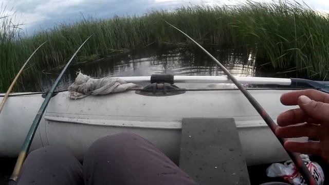 УТРЕННИЙ КЛЕВ КРУПНОГО КАРАСЯ.РЫБАЛКА НА СУЛЕ 2018