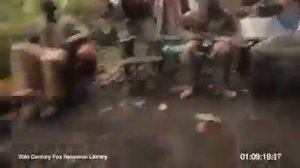 ОБЕЗЬЯНЕ ДАЛИ АВТОМАТ И ПОЖЕЛЕЛИ ОБ ЭТОМ!!!