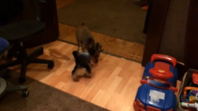 Клип номер 3 смотреть онлайн