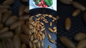 Кофе из желудей