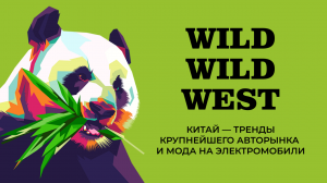 Wild January. Китай — мировая столица электромобилей. Что происходит на крупнейшем авторынке мира?