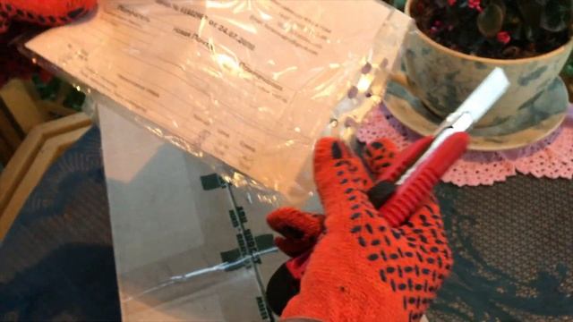 Саженцы роз из питомников Долина Роз и Флора Нова