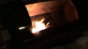 Кремация кошки