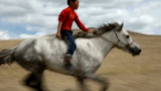 Монгольская лошадь! смотреть онлайн