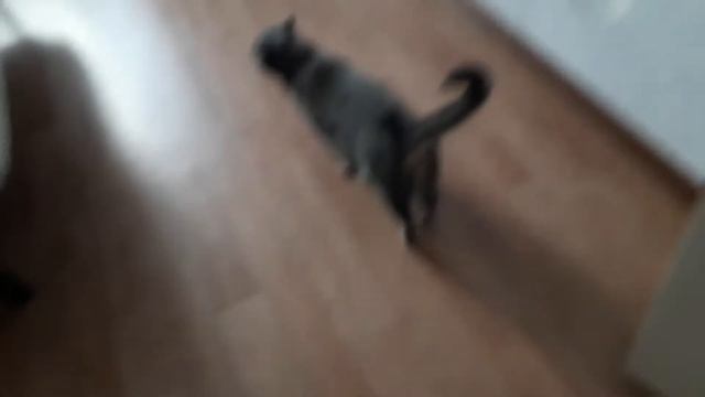 Варю зовут Варя? смотреть онлайн