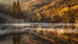 Gandalf. Anduin - The Great River