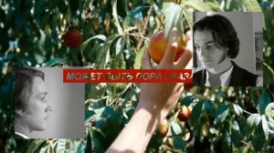 | Ставрогин & Верховенский - Фред & Мэлс | Отношения