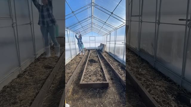 Навожу порядки в теплице