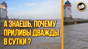 Почему приливы и отливы случаются дважды в сутки?