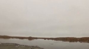 Протока между о.Святовской мох и берегом. Две недели до открытия охоты.