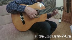 Классическая гитара Valencia VC104