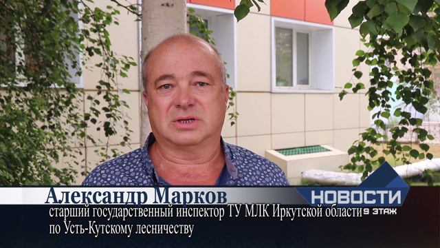 Дефицит пищи в лесах всё чаще провоцирует диких животных выходить к людям смотреть онлайн