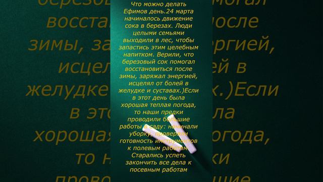 24 марта начало сокодвижения берёз