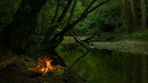 Максим Фадеев - Тихо Несёт Вода