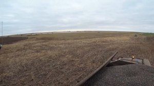 Комбайны от РОСТСЕЛЬМАШ на уборке подсолнечника.РСМ-161 с жаткой безрядковой.