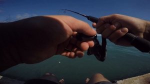 Рыбалка на спиннинг на черном море 2020!