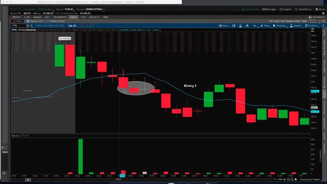 Biggest Day Yet Day Trading Options On PayPal, Up Over 10% In My Account