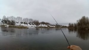 Голавль в начале апреля|| На что клюет голавль весной| Crazy Fish Arion 702