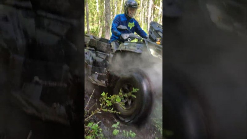 cfmoto cforce x8ho #покатушки #квадроцикл #весело #atv #болото #offroad #shorts