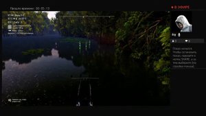 уникальный глазчатый астронотус о.Маку-Маку