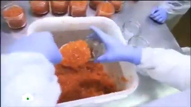 Разбористая красная и черная  как правильно выбрать икру