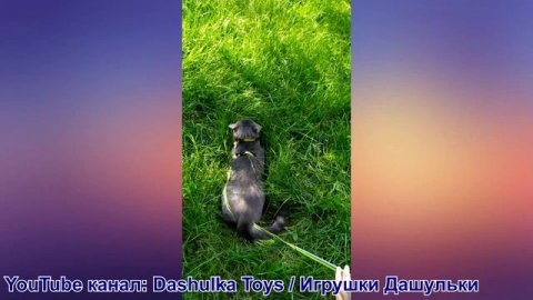 История как дети провели лето| Сочинение: как я провел лето| #детскиеистории #Кристюша #звездыютуба