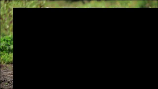 Парник для огурцов купить смотреть онлайн