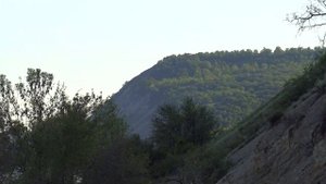 Итог первой рыбалки по головлю в мае 2020 г