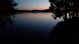 Истринское водохранилище деревня Пятница. Рыбалка, отдых