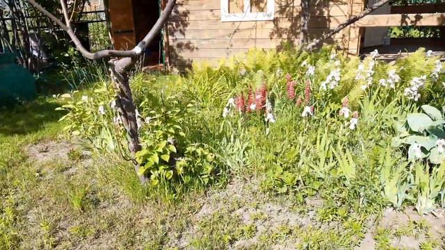 12 июня 2021 года. на даче смотреть онлайн