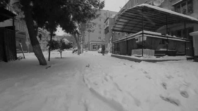 Последние выпуски "Курган Тюбе" за 2023 | HD смотреть онлайн