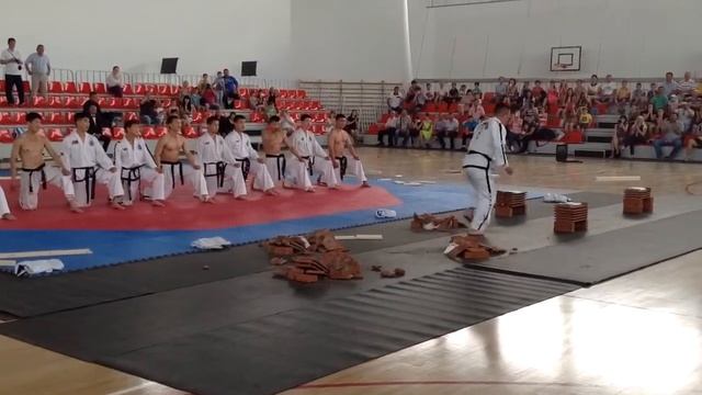 Тхэквондо ИТФ смотреть онлайн