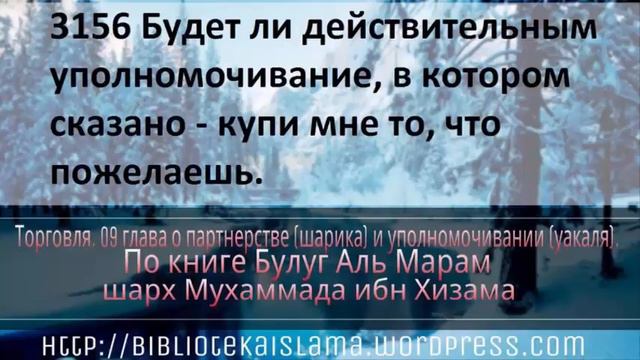 3156 Будет ли действительным уполномочивание, в котором сказано купи мне то, что пожелаешь смотреть онлайн