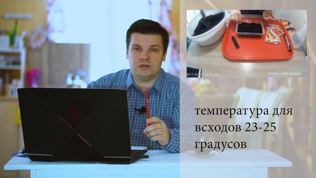 Выращивание перца от А до Я. Как вырастить перец и получить большой урожай. Делюсь опытом. Часть 1