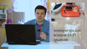 Выращивание перца от А до Я. Как вырастить перец и получить большой урожай. Делюсь опытом. Часть 1