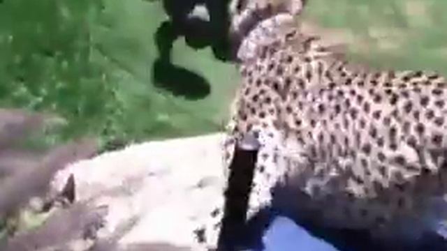 Вася иди кушать! смотреть онлайн