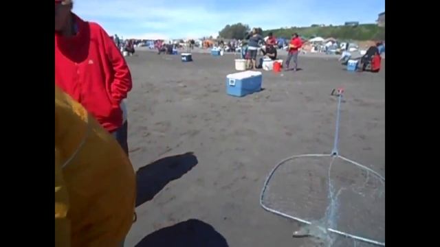 Заготовки лосося на зиму(Deep Netting). смотреть онлайн