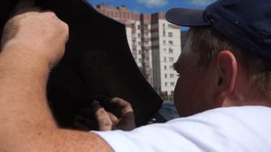 Упоры на капот Газель Бизнес.