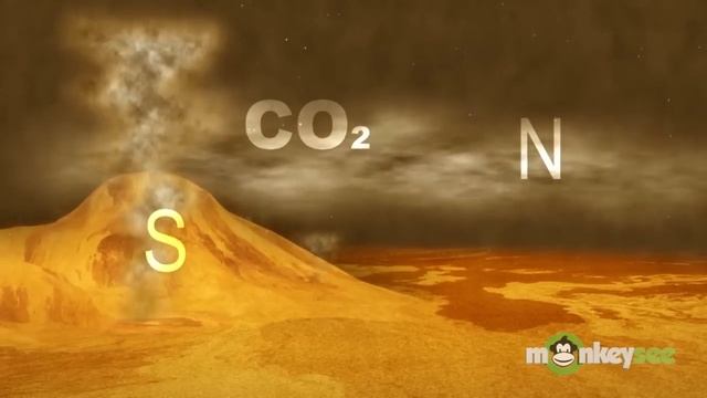 What Is Venus? смотреть онлайн