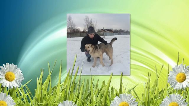 клип большой закарючкин плюшавый.mp4