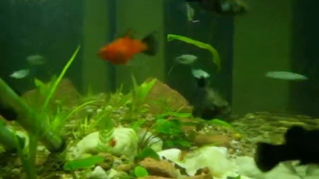 прошел месяц и 5 дней смотреть онлайн