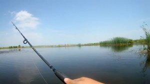 Совместный выезд с авторами канала "Охота на рыбалку" ловля змееголову на спиннинг