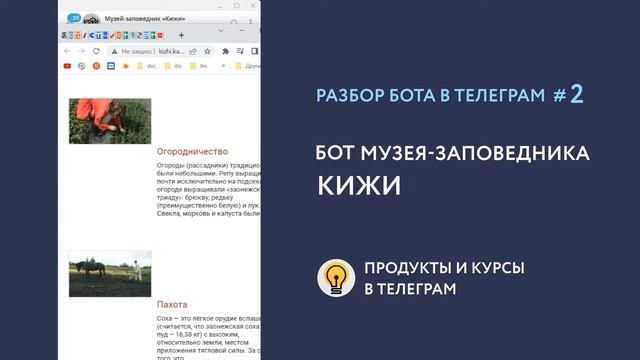 Разбор бота для музея-заповедника КИЖИ смотреть онлайн